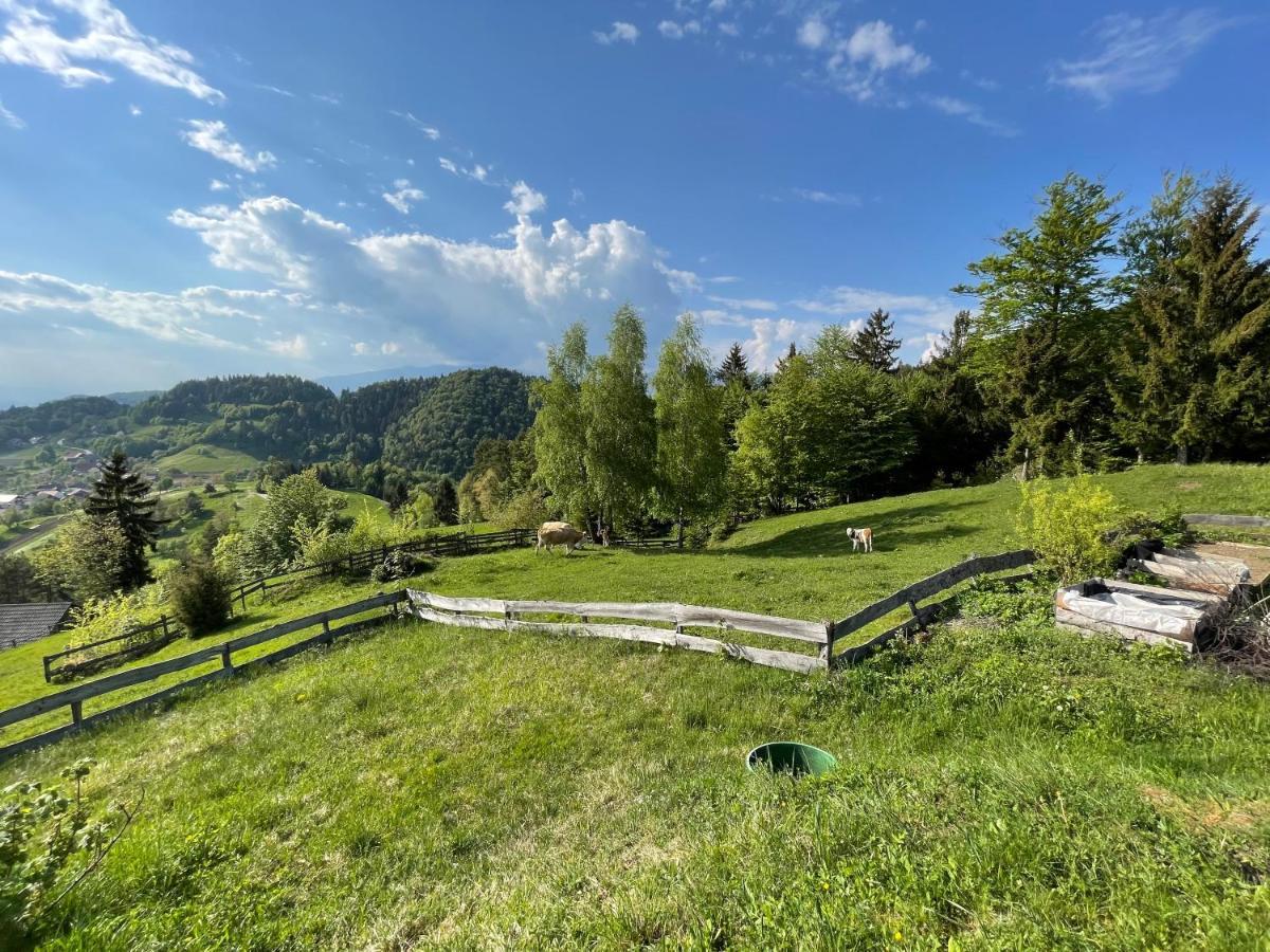 Mountain View Cottage Kamnik Exteriör bild
