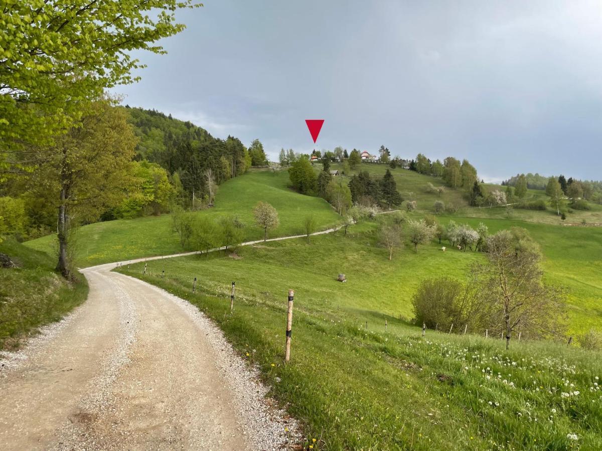 Mountain View Cottage Kamnik Exteriör bild